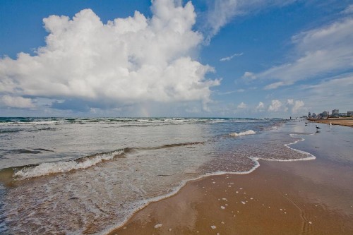 Campeche Cove #1 - image 8