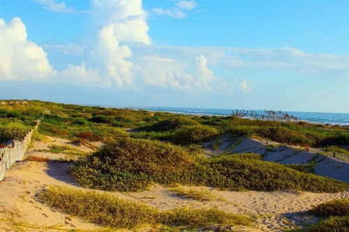 Saida IV Condominiums by Padre Island Rentals - image 8