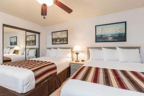 Ocean Vista by Padre Island Rentals - image 12