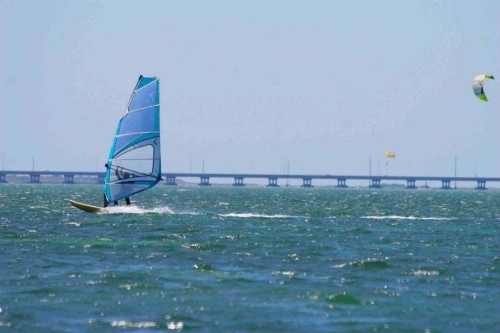 Seagull 502 by Padre Island Rentals - image 12