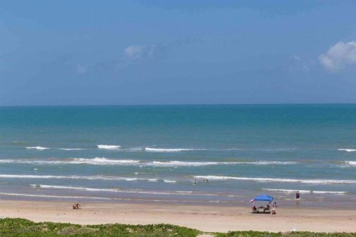 Seagull 502 by Padre Island Rentals - image 8