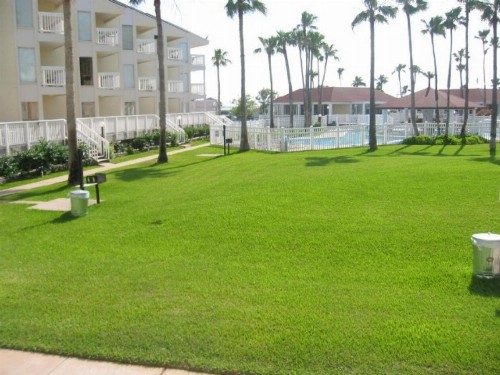 Gulfpoint Condos K1112 - image 8