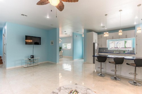 Blue Dolphin - image 10