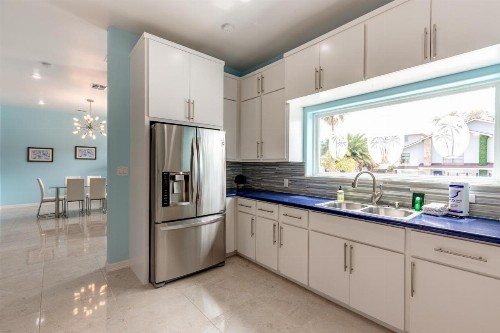 Blue Dolphin - image 12