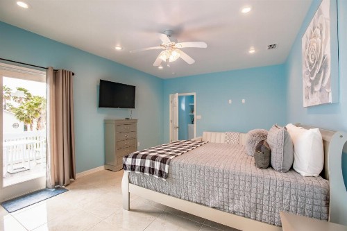 Blue Dolphin - image 6