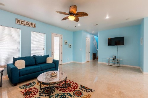 Blue Dolphin - image 8