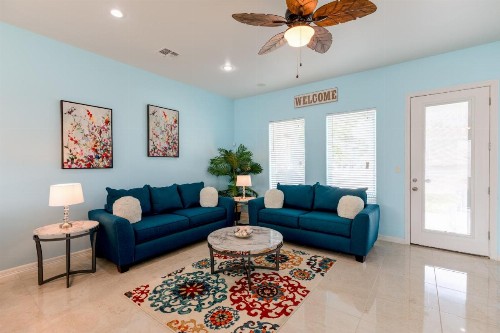 Blue Dolphin - image 9