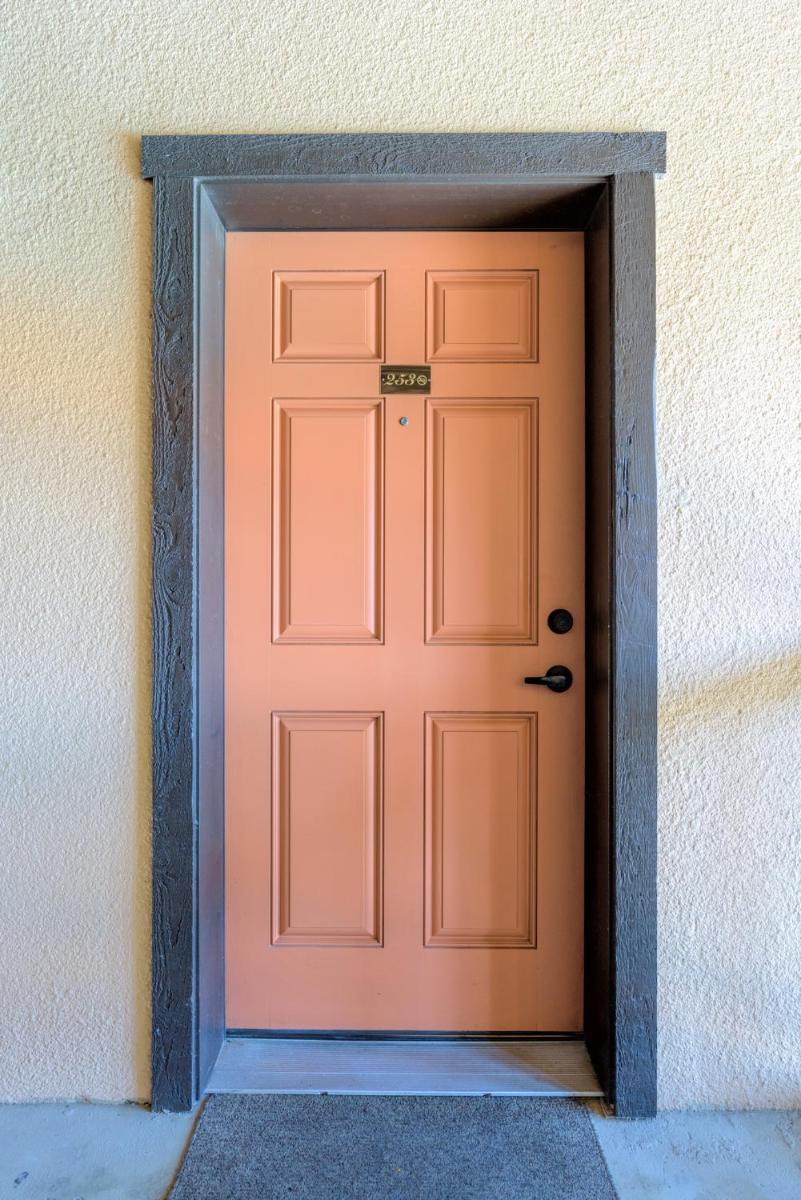 Tiki 253 - image 5