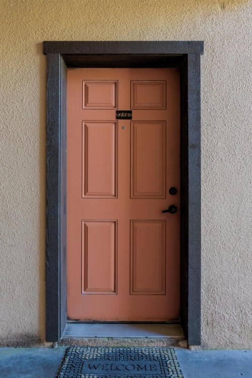 Tiki 145 - image 3