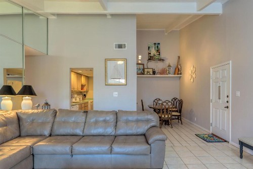 Tiki 219 - image 6