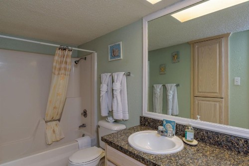Tiki 215 - image 14