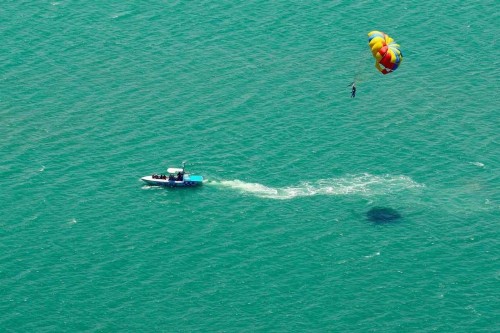 Seagull 202 by Padre Island Rentals - image 7