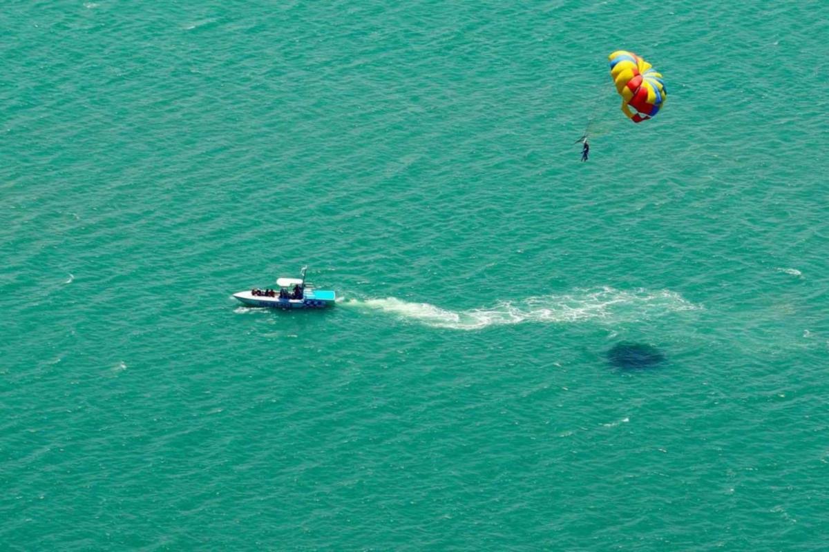 Seagull 202 by Padre Island Rentals - image 7