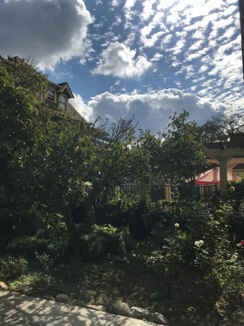The Bissell House Bed & Breakfast - image 4