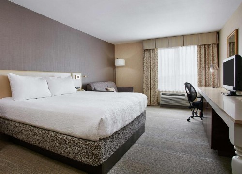 Hilton Garden Inn San Francisco Airport North - image 6