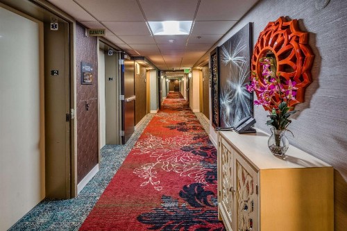 Hampton Inn San Francisco Airport - image 50