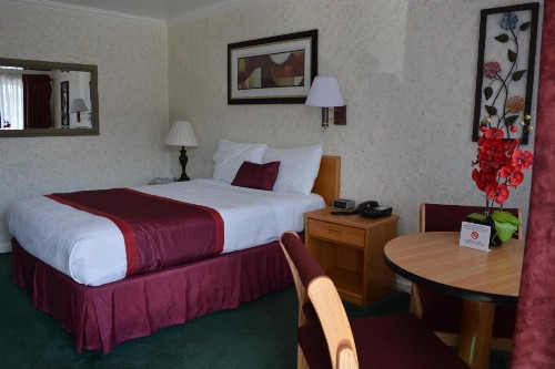 Travelers Inn - image 6