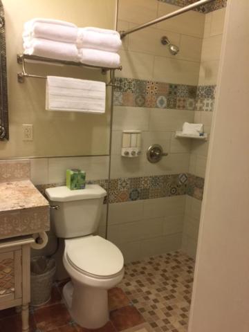 El Amador Downtown Luxury Inn - image 3