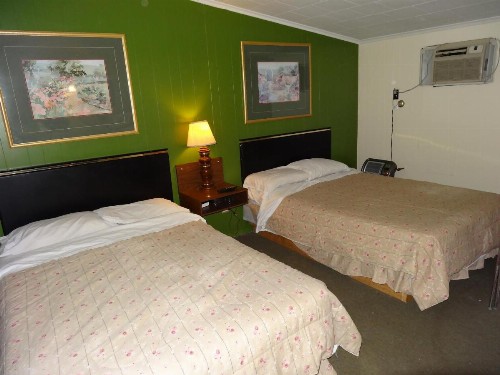 Sparta Motel - image 3