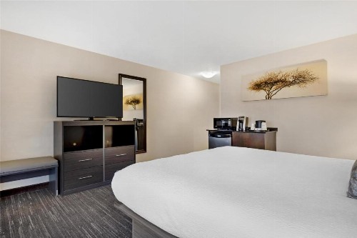 Best Western Plus City Center - image 21