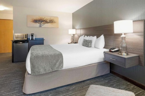 Best Western Plus City Center - image 26