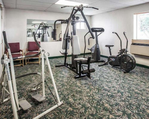 Rodeway Inn & Suites - image 14