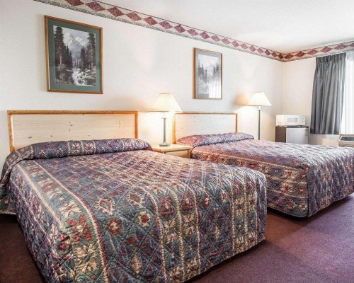Rodeway Inn & Suites - image 22