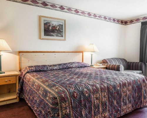 Rodeway Inn & Suites - image 31