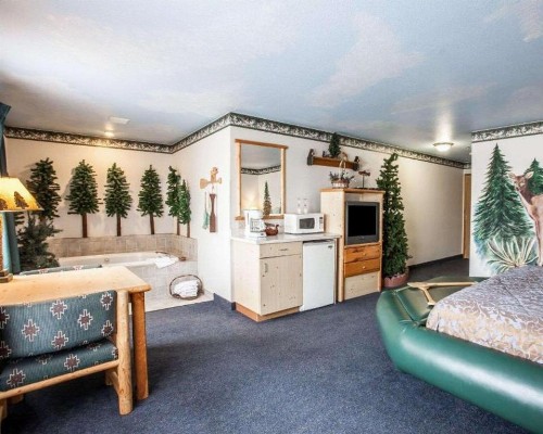 Rodeway Inn & Suites - image 33