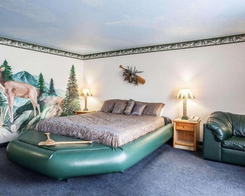 Rodeway Inn & Suites - image 34