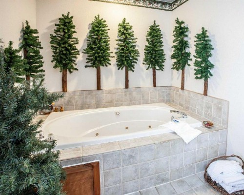 Rodeway Inn & Suites - image 4