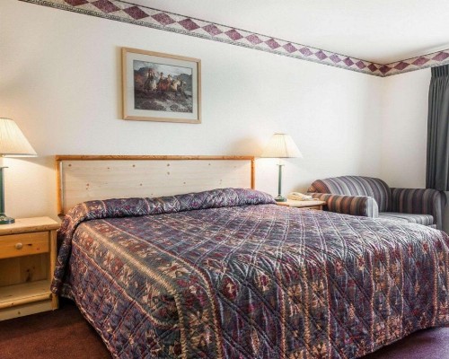 Rodeway Inn & Suites - image 49