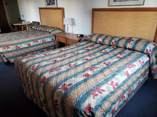 Apple Tree Inn - image 2