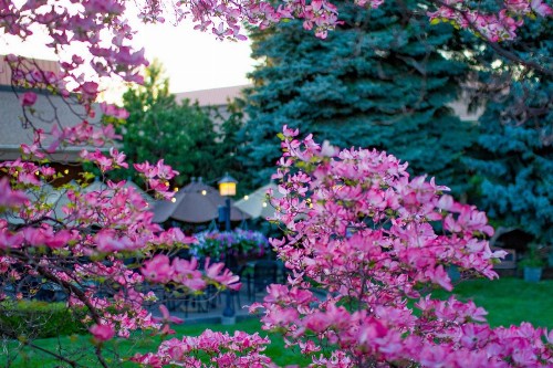 Mirabeau Park Hotel - image 35