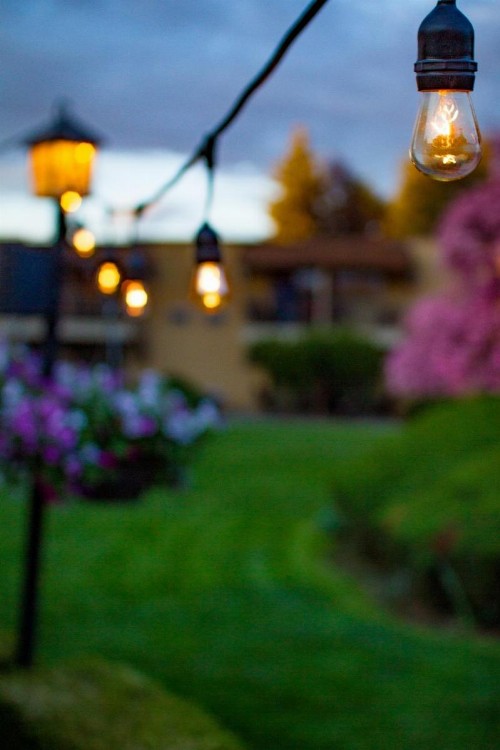 Mirabeau Park Hotel - image 7