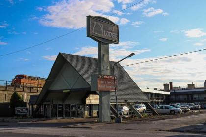 Tiki Lodge Motel - image 1