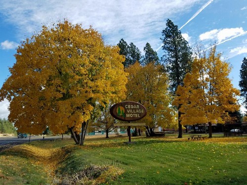 Cedar Village Motel & Rv - image 2