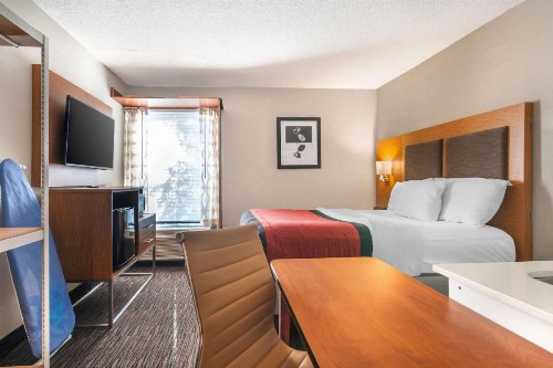 Wingate by Wyndham Springfield - image 29