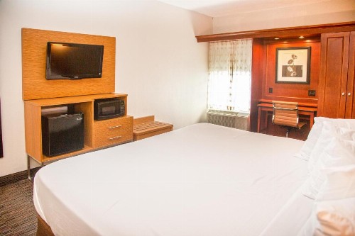 Wingate by Wyndham Springfield - image 30