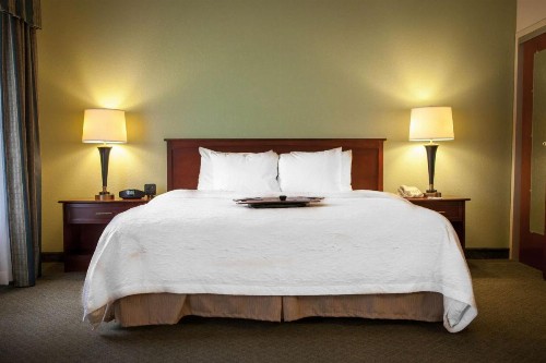 Hampton Inn & Suites Springfield SW - image 9