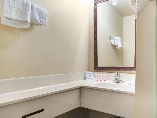 Mansion View Inn & Suites - image 27