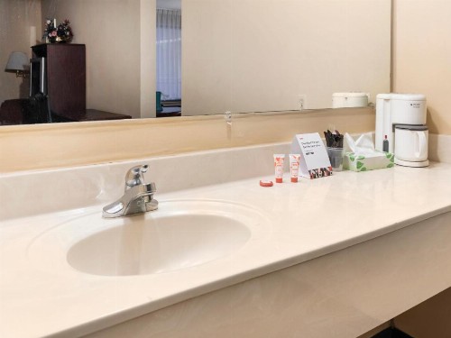 Mansion View Inn & Suites - image 37