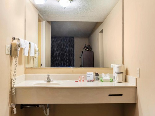 Mansion View Inn & Suites - image 40