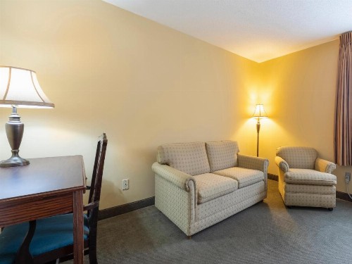 Mansion View Inn & Suites - image 44