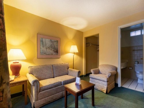 Mansion View Inn & Suites - image 48