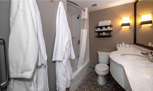 State House Inn - image 30