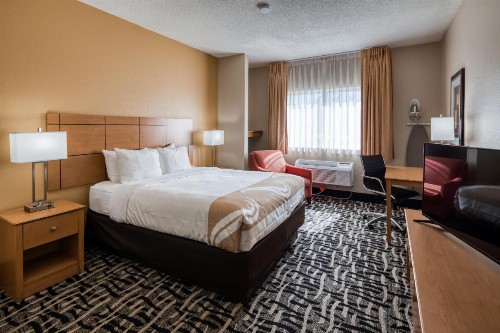 Quality Inn & Suites Springfield - image 42