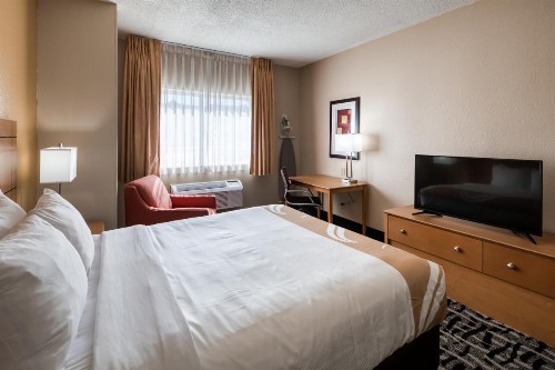 Quality Inn & Suites Springfield - image 8