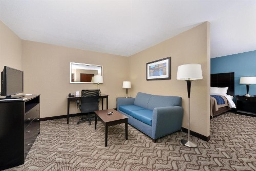 Comfort Inn & Suites Springfield I-55 - image 49