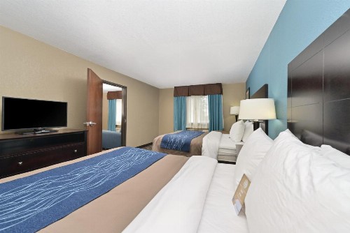 Comfort Inn & Suites Springfield I-55 - image 50